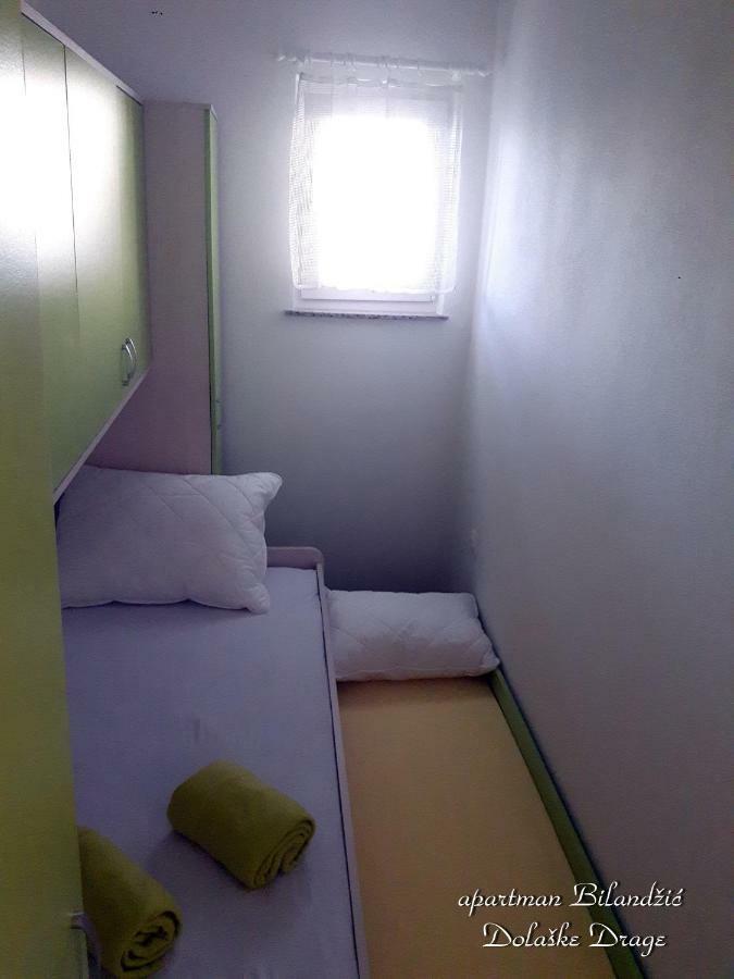 Apartman Bilandzic 德拉格 外观 照片