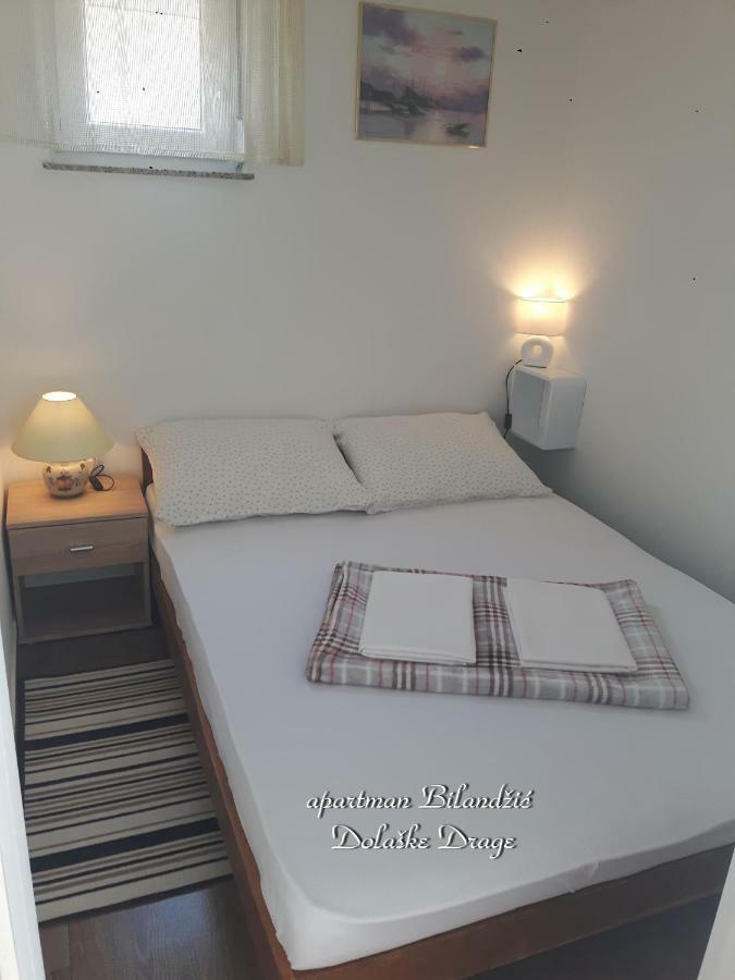 Apartman Bilandzic 德拉格 外观 照片
