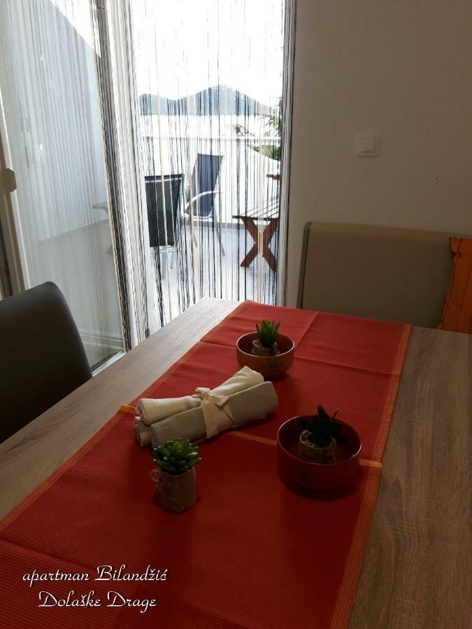 Apartman Bilandzic 德拉格 外观 照片