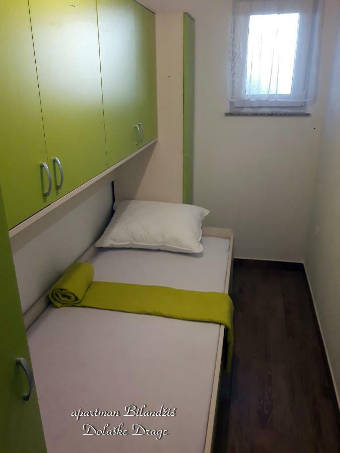 Apartman Bilandzic 德拉格 外观 照片